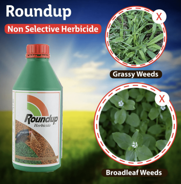Image of Roundup whose active ingredient is the known carcinogen Glyphosate